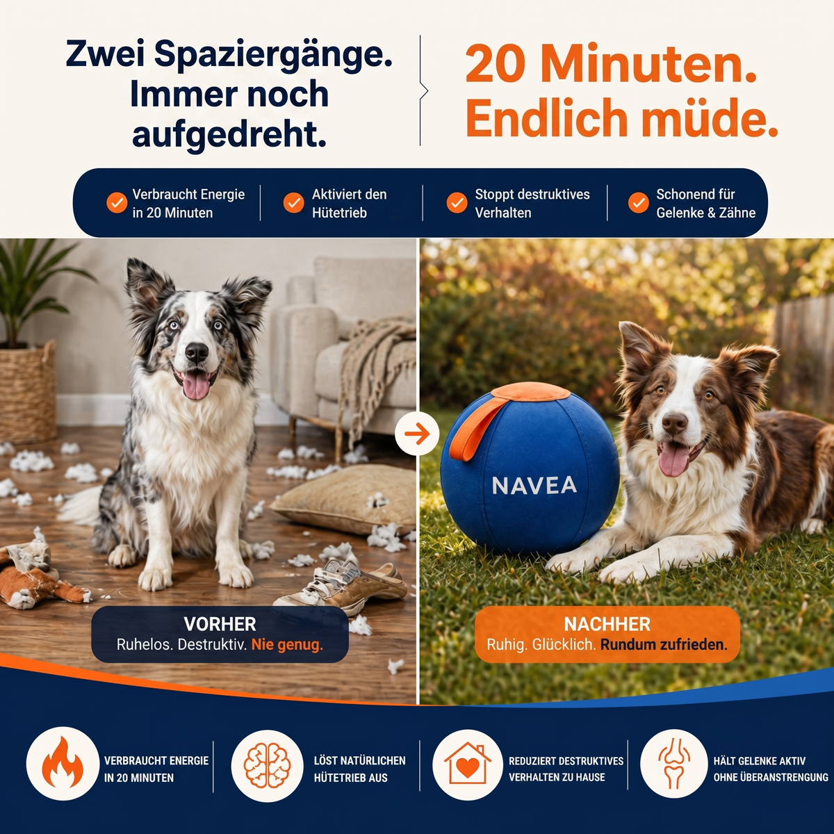 Ihr Hund verhält sich nicht schlecht.